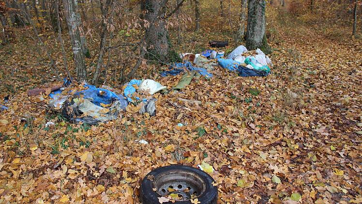 Autoreifen und Hausmüll lagern im Wald nahe der Pyramide. Foto: H. Beudert