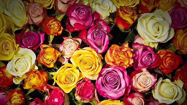 Blumen
