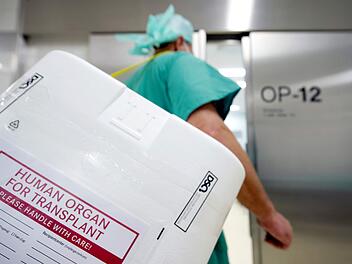 Organspende