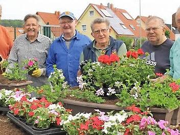 Die Herren Merzbacher, Brütting, Geiling, Mayer, Düring und Hübner (von links), ein Teil des Arbeitstrupps in Gundelsheim, beim Bepflanzen der gemeindlichen Blumenkästen mit Geranien Foto: p