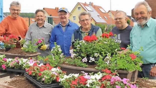 Die Herren Merzbacher, Brütting, Geiling, Mayer, Düring und Hübner (von links), ein Teil des Arbeitstrupps in Gundelsheim, beim Bepflanzen der gemeindlichen Blumenkästen mit Geranien Foto: p