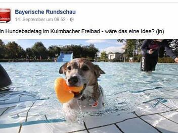 Auf der Facebookseite der Bayerischen Rundschau hat das Thema Hunedebadetag im wahrsten Wortsinn Wellen geschlagen.