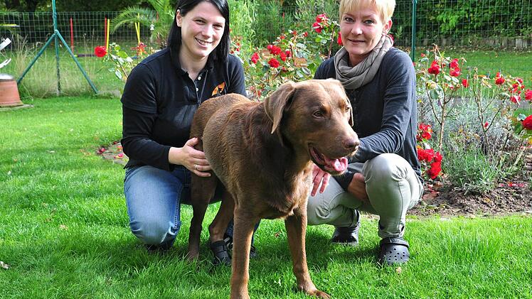 Monika Wehnert (rechts), Besitzerin des Labradorrüden Lenny, und die Hundephysiotherapeutin Tatjana Geier aus Burgebrach freuen sich über die Genesung des Hundes. Nach einer vollständigen Lähmung im hinteren Bereich kann der Hund nun dank der Physiotherapie wieder laufen.