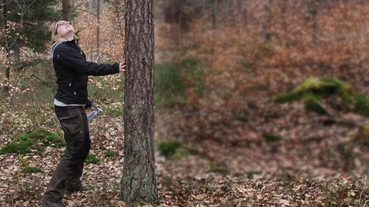 Theresia Hof begutachtet Bäume im Maroldsweisacher Forst. Foto: Helmut Will