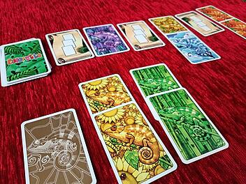 Spiele-Test Coloretto: Kunterbuntes Familien-Kartenspiels
