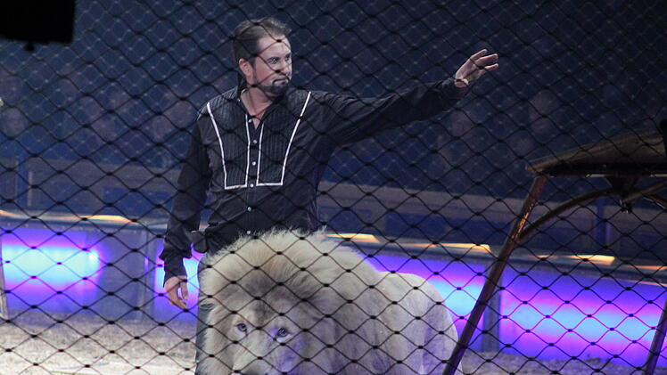 Coburg: Circus Krone feiert Premiere - Tierschützer kündigen Protestaktion an