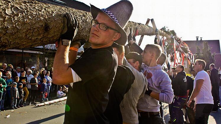Gute 22 Meter Länge hat der Baum in diesem Jahr, den die Adelsdorfer Kerwasburschen wieder ohne Probleme in die Höhe stemmten.  Fotos: Sonja Werner