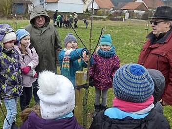 Unter den aufmerksamen Blicken von Heinz Büttner (hinten) und Gerhard Ramming (rechts) dürfen die Schüler ihre ersten Schnittversuche selbst durchführen. Die abgeschnittenen Zweigteile werden wie eine Trophäe mit in die Schule genommen. Foto: K.- H. Hofmann