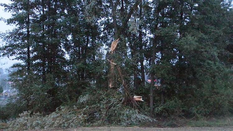 Den Ast riss eine Böe einfach ab