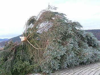 Hat den Luftangriff von Sturmtief Bille nicht überlebt: der Christbaum auf dem Rondell der Kulmbacher Plassenburg. Foto: Michael Weich