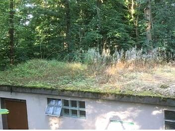 Das Dach der Toiletten im Pretzfelder Kellerwald ist bewachsen. Foto: Gerhard Kraft