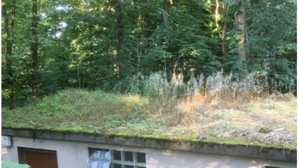 Das Dach der Toiletten im Pretzfelder Kellerwald ist bewachsen. Foto: Gerhard Kraft