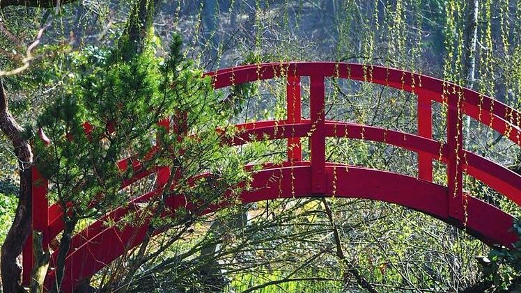 Inmitten des großen Rhododendronparks führt die rote Brücke übers blaugrüne Wasser.  Foto: Christa Bartels