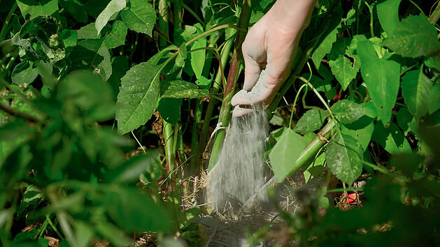 Garten verbessern mit Diabas aus Franken: Nachhaltige Alternative zu Kunstd&uuml;nger