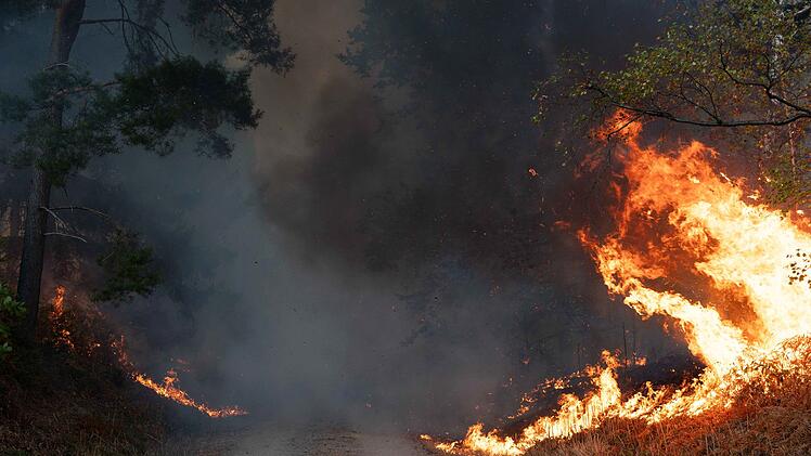 Waldbrand im H&uuml;rtgenwald