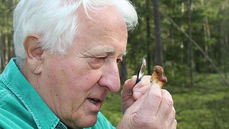 Hans Krautblatter mit Maronen