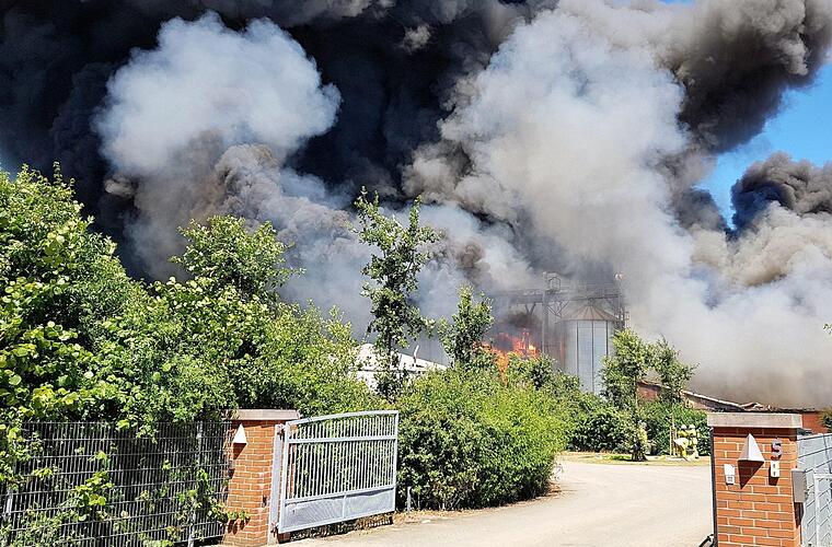 Panik im Mastbetrieb: 8000 Schweine verenden bei Bauernhof-Brand - Was war passiert?