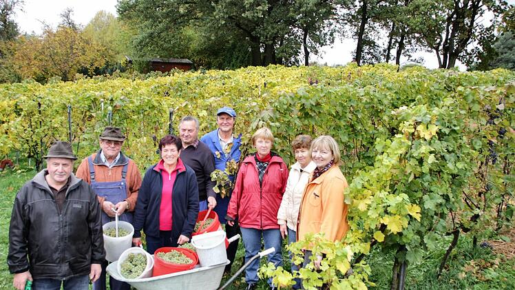 Fleißige Wein-Mannschaft bei der Arbeit im Weinberg: Georg Heid, Fritz Schleifer, Ottilie Heid, Werner Heid, Erich Kintopp, Annie Czeslik, Elfriede Rehm und Schwiegertochter Jutta Heid.
