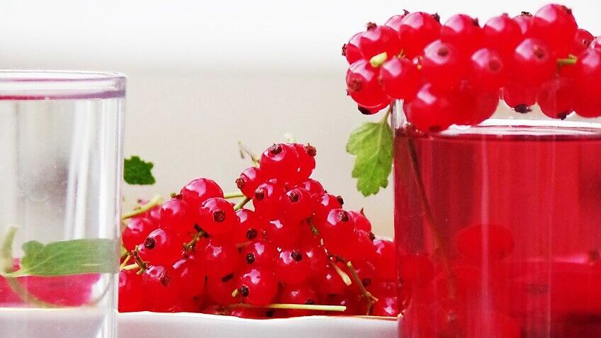 Johannisbeersaft kannst du ganz einfach selber machen. Johannisbeersaft kannst du ganz einfach selber machen.