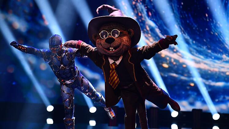 Harry Otter legt mit "Wake Me Up When September Ends" (Green Day) einen zauberhaften Auftritt hin. Noch magischer war, dass er im Clip einen zweiten Otter zeigt. Sie da Zwillinge am Start?