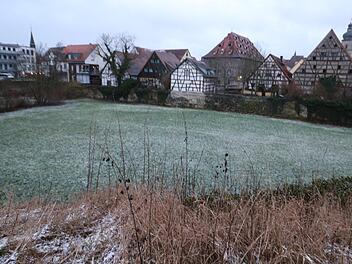 Das Krankenhaus-Areal in Forchheim könnte von einer Gartenschau profitieren. Foto: Ronald Heck