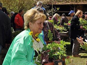 Eine Fundgrube ist der Pflanzenflohmarkt an der Rothwinder Mühle für alle Gartenbesitzer. Foto: Ingrid Kohles