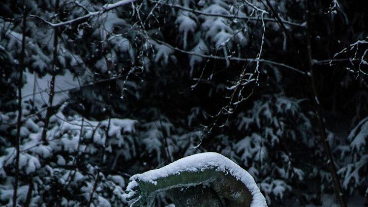 Der erste Schnee: winter-Impressionen aus CoburgFoto: Jochen Berger
