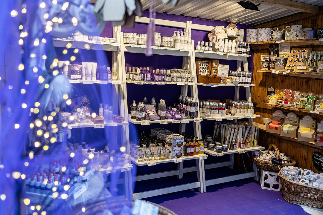 Winterszeit - Magische und zauberhafte Atmosphäre! Winterszeit - Magische und zauberhafte Atmosphäre!