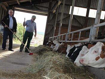Im Stall: Bauer Walter Kleinhenz (rechts) und Kreisobmann Karl-Heinz Vogler machen auf die schwierige Situation der Viehbauern aufmerksam. Foto: Ulrike Müller