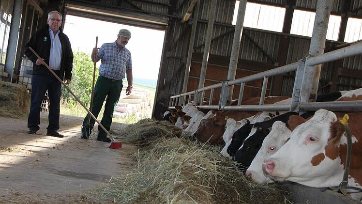 Im Stall: Bauer Walter Kleinhenz (rechts) und Kreisobmann Karl-Heinz Vogler machen auf die schwierige Situation der Viehbauern aufmerksam. Foto: Ulrike Müller
