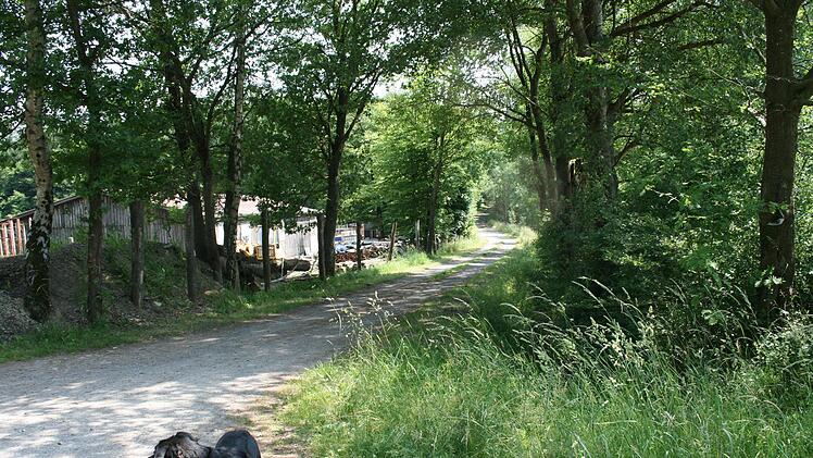 Dem  Wasser soll oberhalb von Premich Rückhalt  geboten werden. Dabei müssen ein Schotterweg erhöht und zwei Quermulden hergestellt werden. Symbolbild: Gabriele Sell