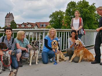 Zur praktischen Prüfung in Bad Neustadt gehörte auch das gehen auf der "schwankenden Failaiser Brücke". Unser Bild zeigt von links: Ines Klör mit Lotte, Martina Sturm mit Rana, Inga Hoffmann mit Emma, Christine Maier-Fuersich mit Simba, Sina Engel Prüferin BHV, sowie Andreas Pfister Hundetrainer canisteam. Foto: Friedrich