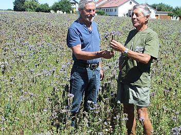 Konrad Völker (links) und Rudi Neeb (rechts) freuen sich über die gemeinsam angelegte Bienenweide am Trimberger Weg, die zahlreiche Bestäuber anlockt.  Fotos: Winfried Ehling