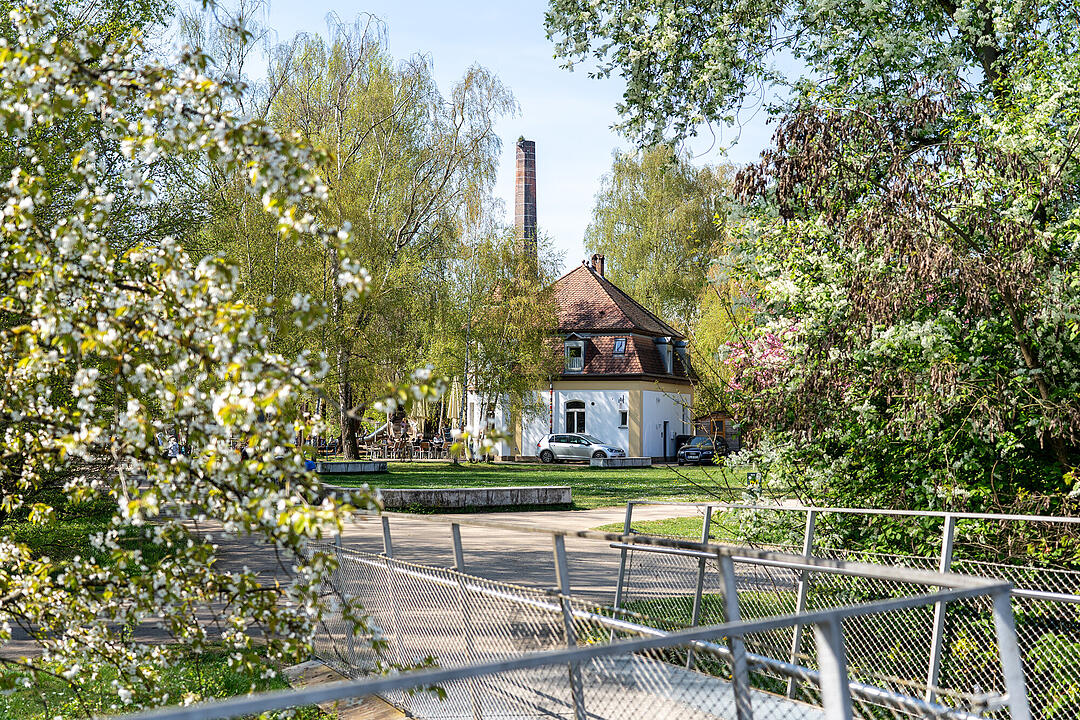 Wundersch&ouml;ne Naturfotos aus Bamberg.