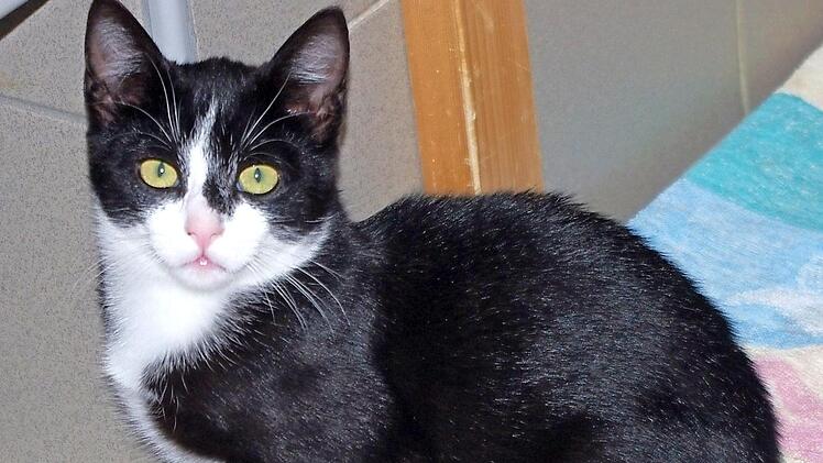 "Vresia"  Fotos: privat