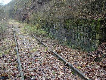 Reaktivierung der Mainschleifenbahn: Planungen werden konkreter