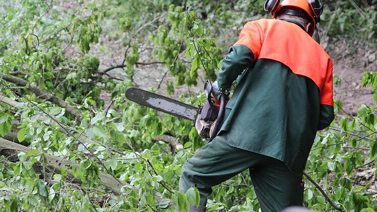 Heinz Rumpel nimmt die Motorsäge zur Hand, um die Sturmschäden zu beseitigen.