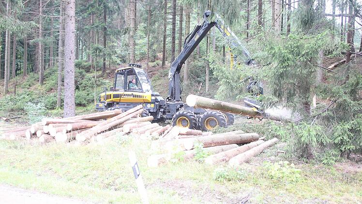Ein Harvester mit sechs und dieser mit acht Rädern sind im Einsatz.  Foto: Friedwald Schedel