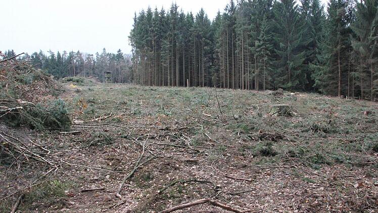 Blick auf die Fläche, auf der die Windenergieanlage 1 errichtet werden soll.  Foto: Friedwald Schedel