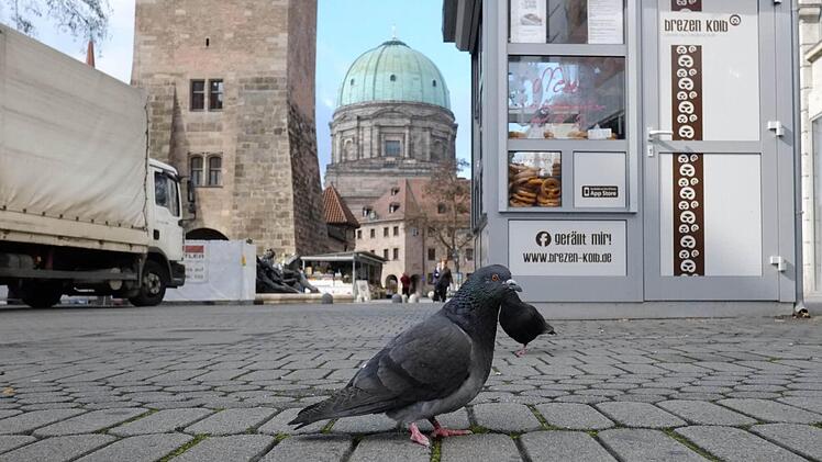 Viele Stadttauben ernähren sich von Essensresten in der Fußgängerzone. Foto: Nikolas Pelke