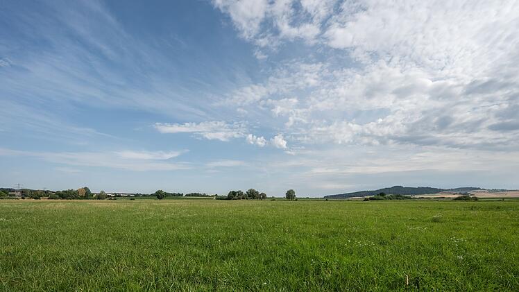 Wiese