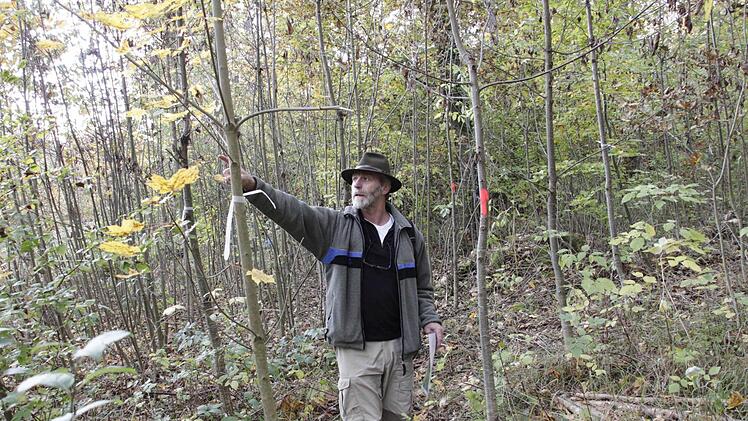 Foto: Josef Hofbauer