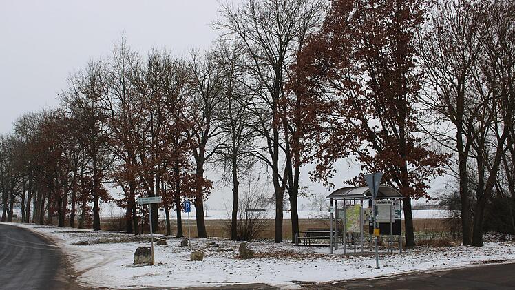 Hinter den Bäumen soll das Gewerbegebiet "Edelgraben II" entstehen.Evi Seeger (Archiv)