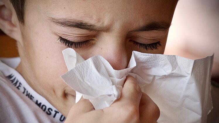 Der Winter ist Erkältungs-Zeit - eine bestimmte "Grippe-Diät" soll jedoch gegen Viren ankommen.