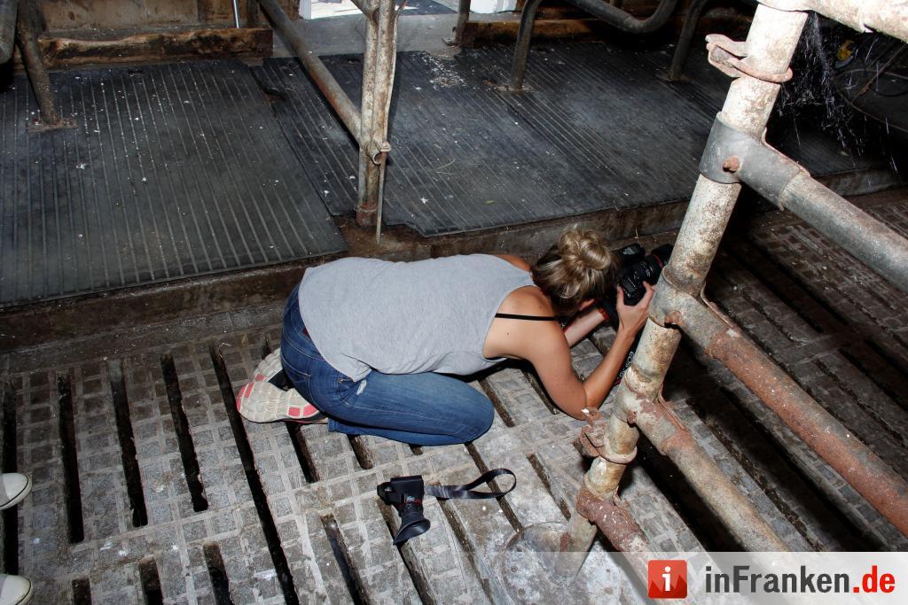 Schweiß im Stall: Making-Of vom Jungbauernkalender 2017