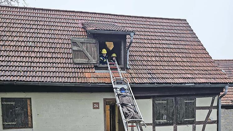 Die Sicherung des Schleifkorbs als auch die Stabilit&auml;t der Leiterkonstruktion mussten bei der &Uuml;bung gew&auml;hrleistet werden.