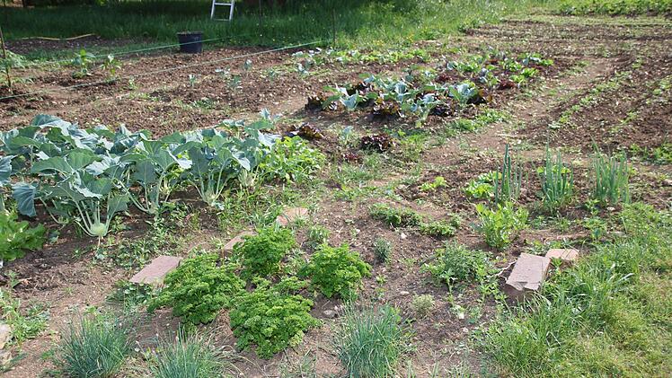 Impressionen vom Praxisunterricht Hausgartenbau