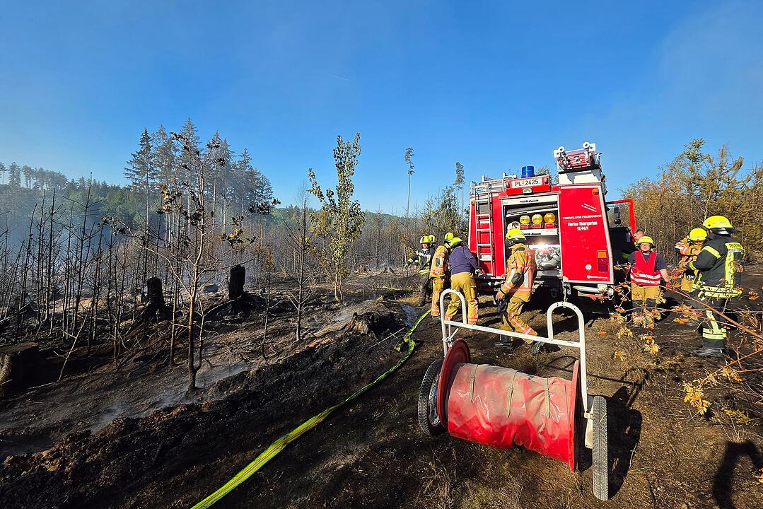 Waldbrand bei Plauen