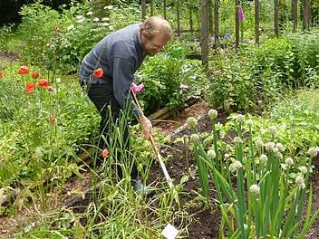 Zweiter Vorsitzender Walter Näher zählt zu den Schmölzer Idealisten, die den Kräuterlehrgarten auf Vordermann bringen. Foto: Gerd Fleischmann