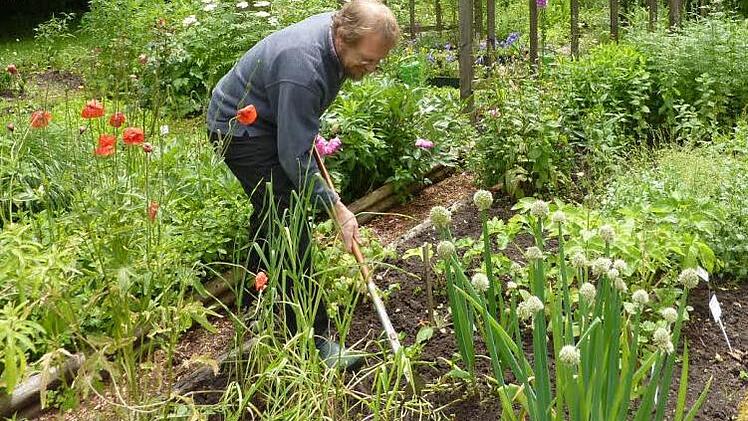 Zweiter Vorsitzender Walter Näher zählt zu den Schmölzer Idealisten, die den Kräuterlehrgarten auf Vordermann bringen. Foto: Gerd Fleischmann